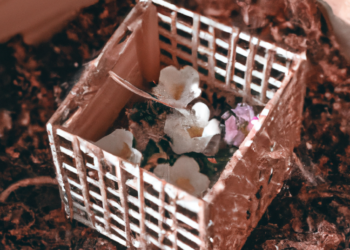 Jardim de Inverno - Dicas e Ideias Práticas