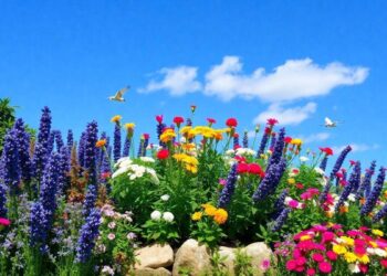 plantas-para-bordaduras-que-atraem-polinizadores